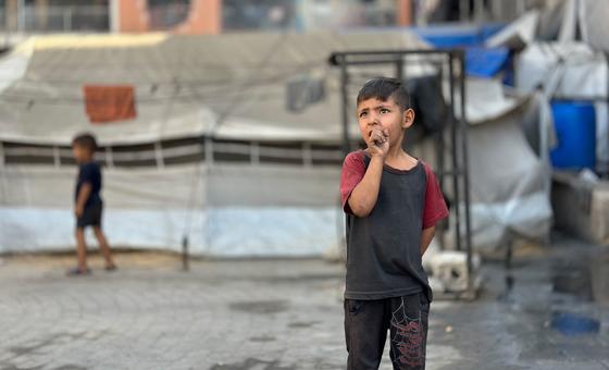UN Rights Chief Urges US to Lift Sanctions on Palestinian Rights Groups Amid Gaza Crisis