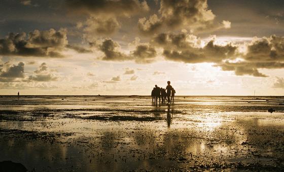 Cooling La Niña Could Return Amid Rising Global Temperatures: WMO