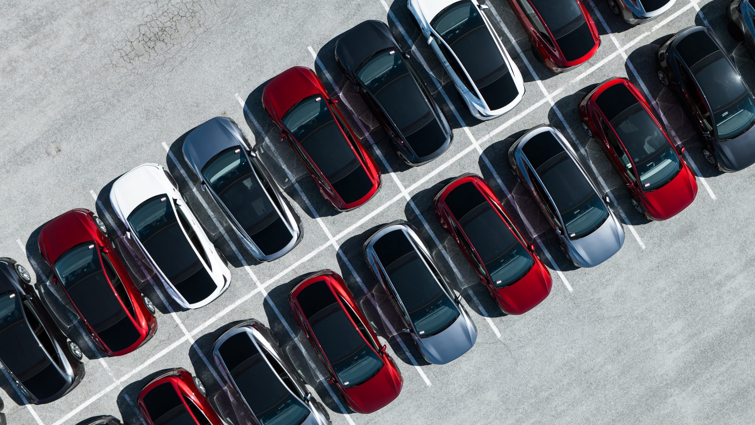 Tesla Introduces Exclusive Marine Blue Color from Gigafactory Berlin